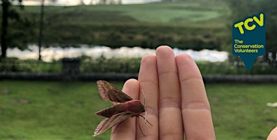 Imagem principal do evento Moth Trapping and Identification - Railway Fields