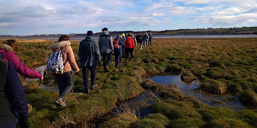 Primaire afbeelding van The Story of Montrose Basin