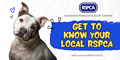 Imagem principal de Local Business Meet-up (get to know your local RSPCA)