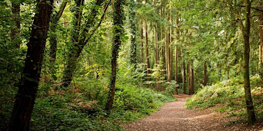 Imagem principal do evento A Woodland Breathwork Walk