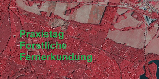 Imagen principal de 2. Praxistag "Fernerkundung  im Forst – Light Detection and Ranging"