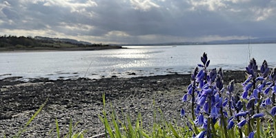 Primaire afbeelding van Spring Into Birding