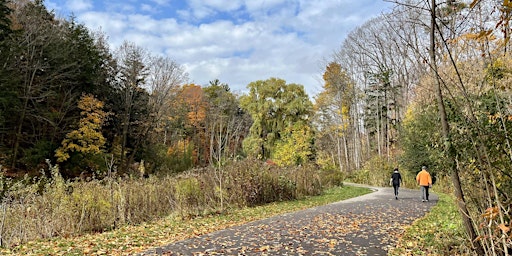 Guided Ravine Tour of Wilket Creek primary image