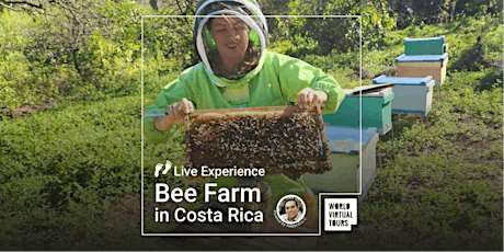 Live Experience - Bee Farm in Costa Rica