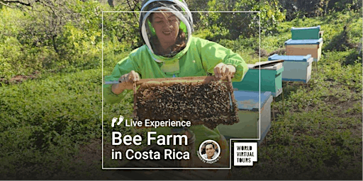 Primaire afbeelding van Live Experience - Bee Farm in Costa Rica