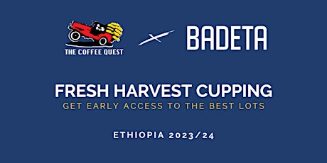 Fresh Harvest Cupping at Badeta Watergraafsmeer | Ethiopia 2023/24