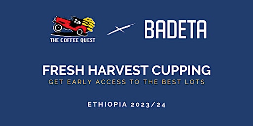 Image principale de Fresh Harvest Cupping at Badeta Watergraafsmeer | Ethiopia 2023/24