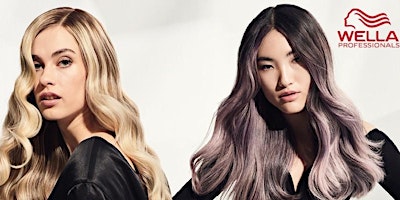 Blonde Toner and Balayage Tutorial primary image