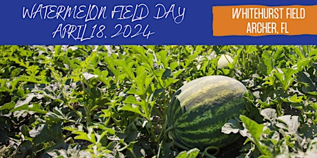 Watermelon Field Day