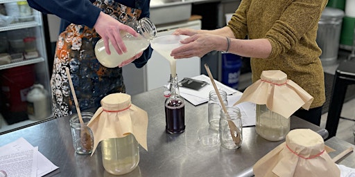 Hauptbild für Water Kefir Class