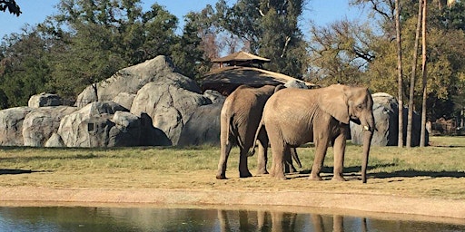 Imagem principal do evento Fresno Zoo Field Trip