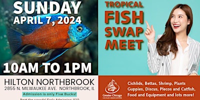 Primaire afbeelding van Tropical Fish Swap Meet