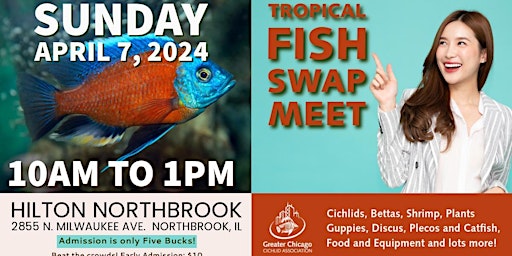 Imagem principal do evento Tropical Fish Swap Meet