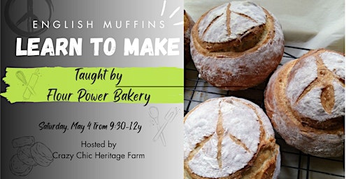 Immagine principale di Learn to Make English Muffins 