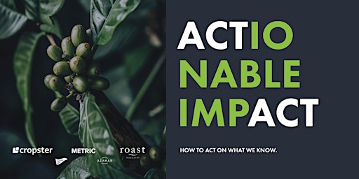Hauptbild für (Act)ionable Impact - Panel & Party