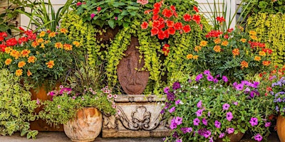 Container Gardening primary image