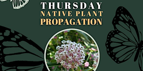 Native Plant Propagation Thursdays - Volunteer Nursery Event