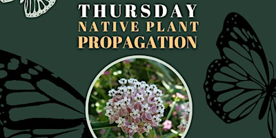 Imagem principal do evento Native Plant Propagation Thursdays - Volunteer Nursery Event