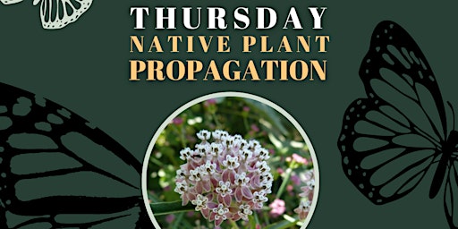 Native Plant Propagation Thursdays - Volunteer Nursery Event  primärbild