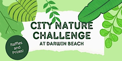 Imagem principal do evento City Nature Challenge at Darwin Beach