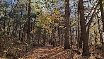 Immagine principale di Trek the Trails at Long Pond 