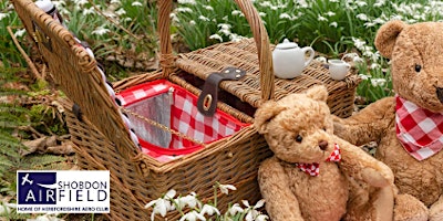 Primaire afbeelding van Teddy Bear's Picnic