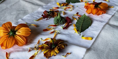 Immagine principale di Arts in the Garden- Nature's Palette Workshop: Exploring  Botanical Dyes 