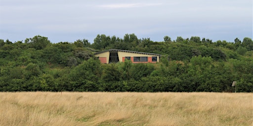 Hauxley reserve walk primary image