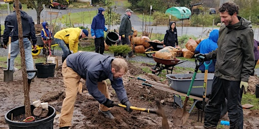 Image principale de Create naturalized beds using coarse woody debris