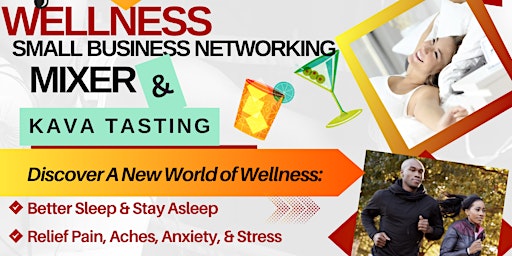 Imagen principal de Wellness Networking Mixer