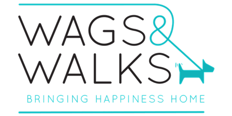 Wags & Walks Nashville Puppy Pilates