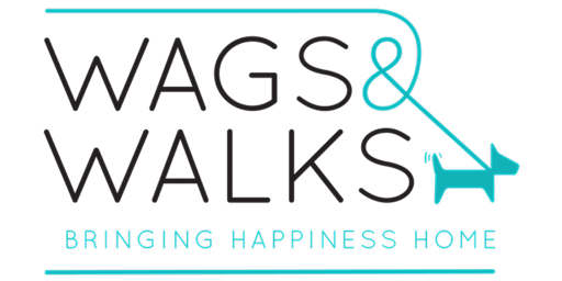 Wags & Walks Nashville Puppy Pilates primary image