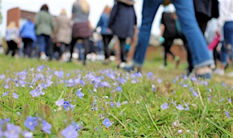 Hauptbild für Sussexsport Boundary Walk