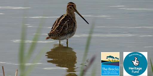 Hauptbild für Watery Wildlife Bird ID walk