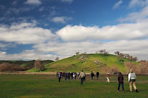 Morning Photo Walk at Spreckels Hill! primary image