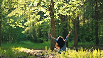 Forest Bathing - Connecting with Nature primary image