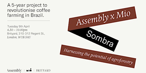 Primaire afbeelding van Sombra – Harnessing the power of agroforestry
