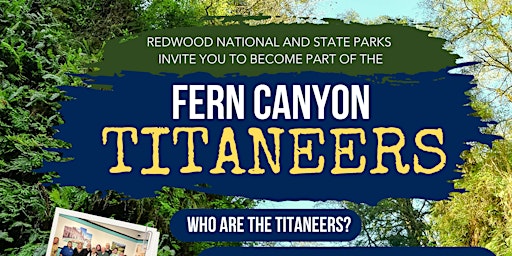 Become a Fern Canyon "Titaneer" Volunteer primary image