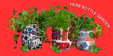 Herb Plastic Bottle Garden!