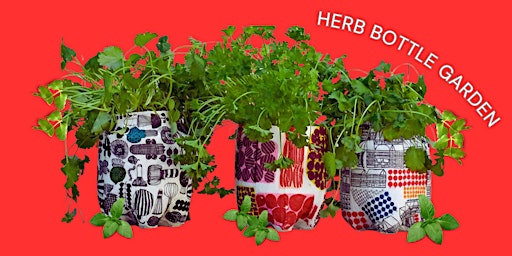 Imagem principal de Herb Plastic Bottle Garden!