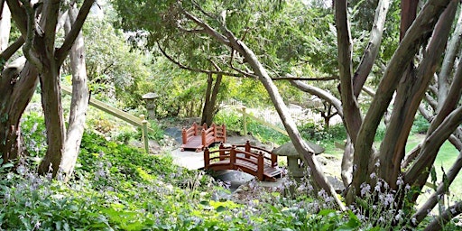 Imagen principal de Garden Design Case Study: The Rehabilitation of A Japanese Garden