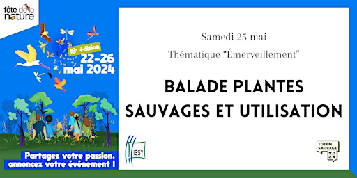 Hauptbild für Fête de la Nature - Balade plantes sauvages et utilisation