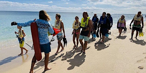 Hauptbild für Public Guided Snorkel Tour of Fort Lauderdale Reefs