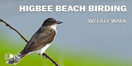 Primaire afbeelding van Higbee Beach Birding