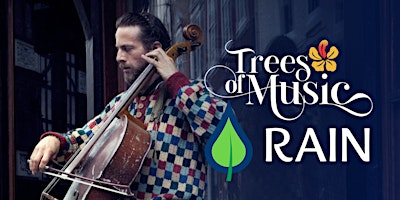 Bach cello suites 1, 2 & 3: music and reforestation in Brazil  primärbild