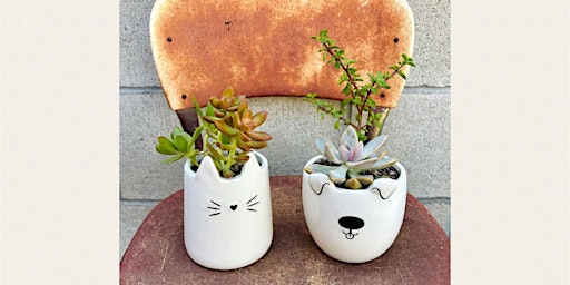 Imagem principal de Succulent Planting & Story Time!