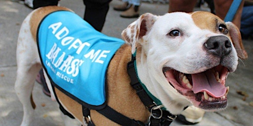 Imagem principal de Badass Animal Rescue Street Festival