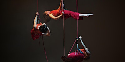 What's Up! UpSwing Aerial Dance celebrates Natl. Dance Week primary image