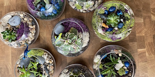 Imagem principal de Succulent Terrarium Workshop at Koval Distillery