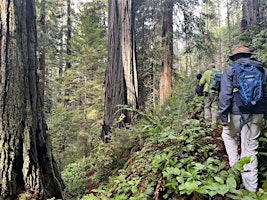 Hauptbild für Salmon Pass Trail Docent Guided Hike